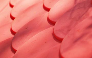 Birchall plastic roof costs